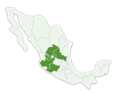 Mapa AVENA AVEMEX